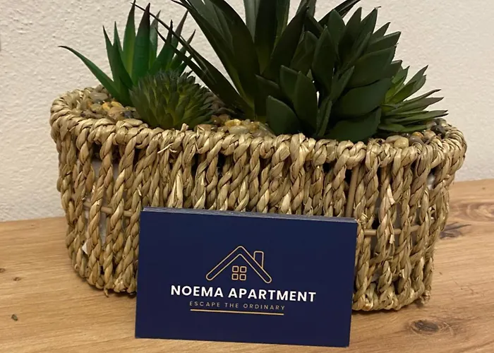 Apartment Noema